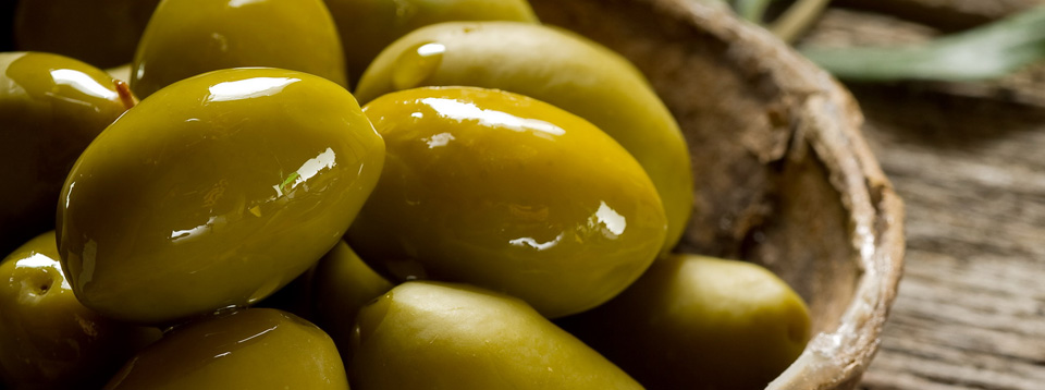 Una plegaria al olivo